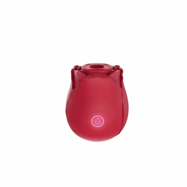 Massageador Rosa Silicone 10 Vibrações - My Secrety
